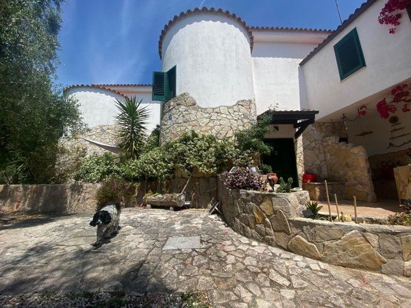 esavano in vendita a Vico del Gargano