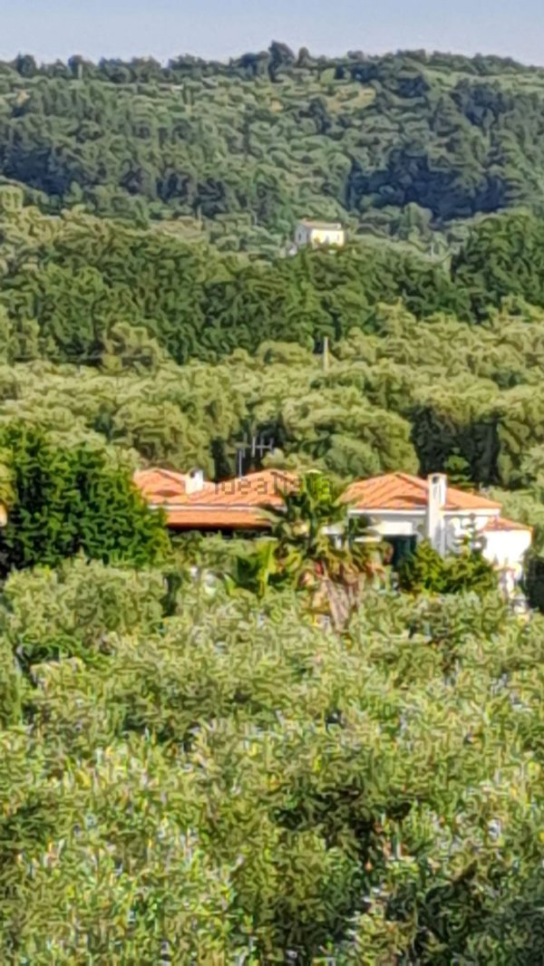 esavano in vendita a Vico del Gargano in zona San Menaio