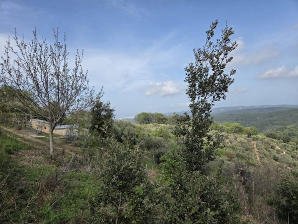 casa indipendente in vendita a Vico del Gargano