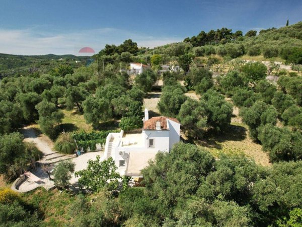 casa indipendente in vendita a Vico del Gargano in zona San Menaio