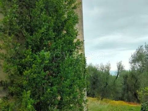 casa indipendente in vendita a Vico del Gargano