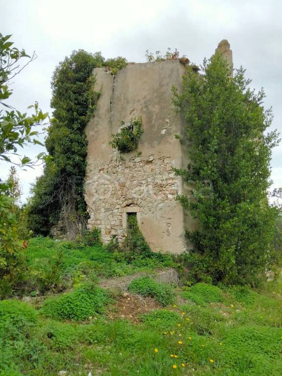 terreno in vendita a Vico del Gargano
