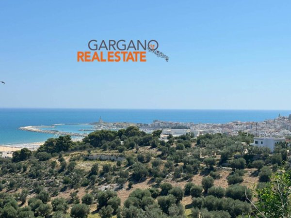 intera palazzina in vendita a Vieste