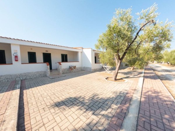 appartamento in vendita a Vieste
