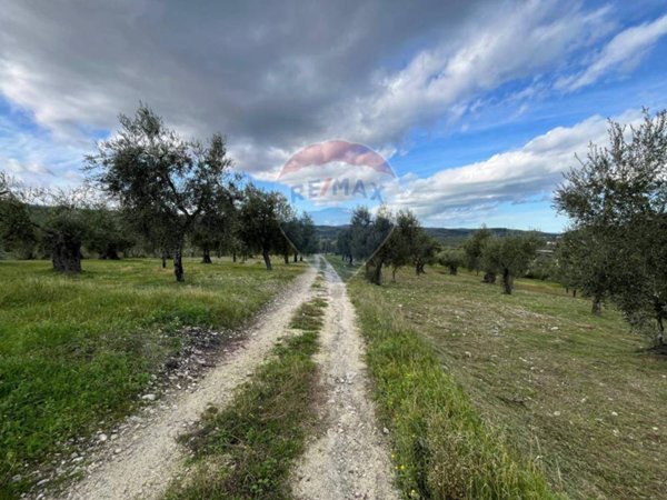 appartamento in vendita a Vieste