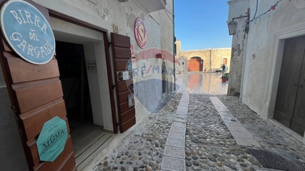 appartamento in vendita a Vieste