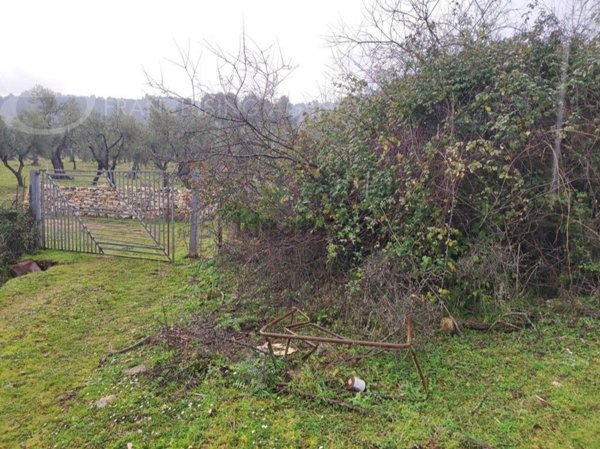 appartamento in vendita a Vieste