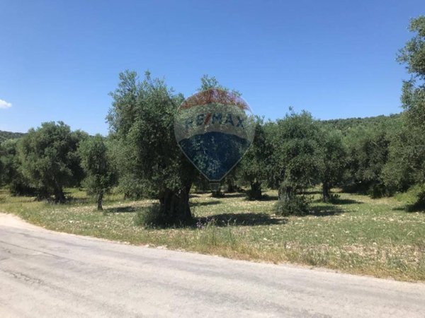terreno agricolo in vendita a Vieste