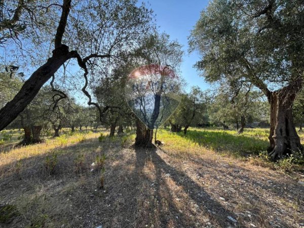 terreno agricolo in vendita a Vieste