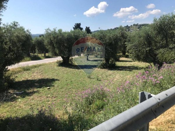 terreno agricolo in vendita a Vieste