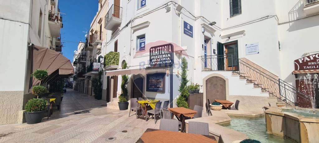 trivano in vendita a Vieste