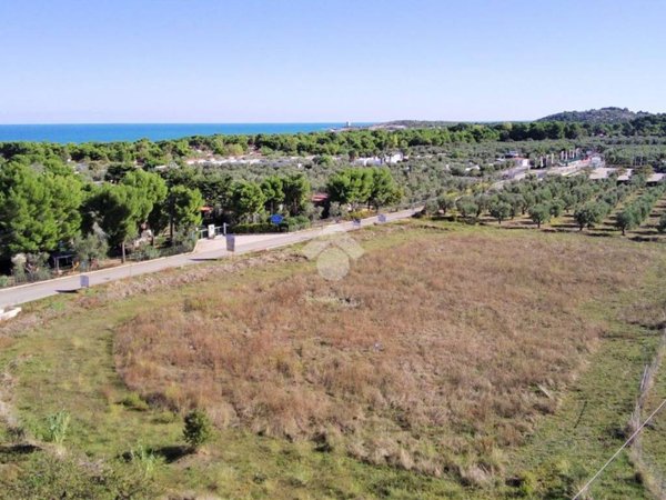 terreno agricolo in vendita a Vieste