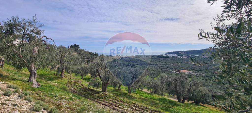 terreno agricolo in vendita a Vieste