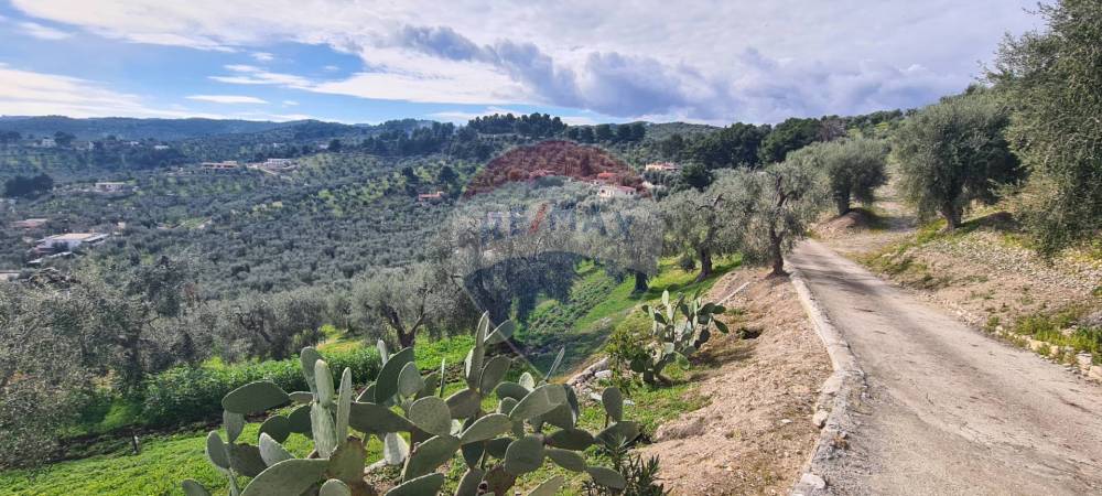 terreno agricolo in vendita a Vieste