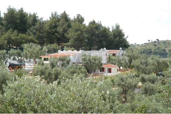 appartamento in vendita a Vieste