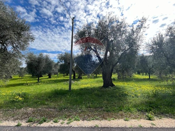 terreno agricolo in vendita a Vieste