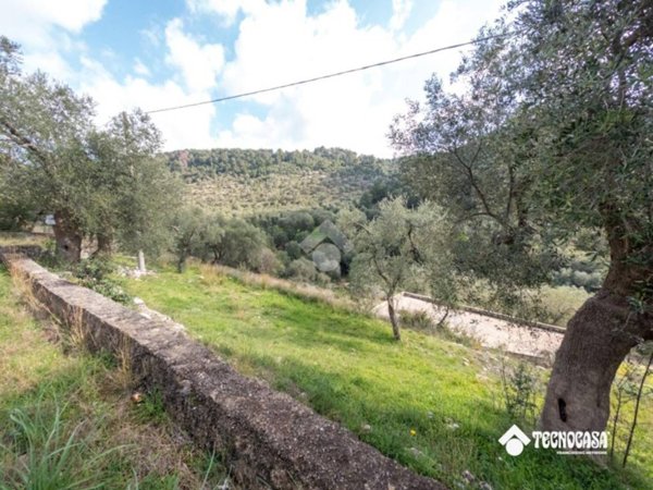 terreno agricolo in vendita a Vieste