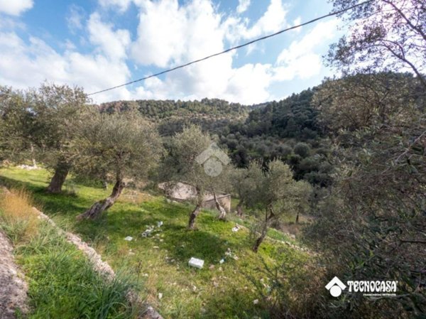 terreno agricolo in vendita a Vieste