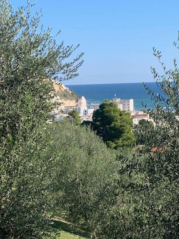 appartamento in vendita a Vieste