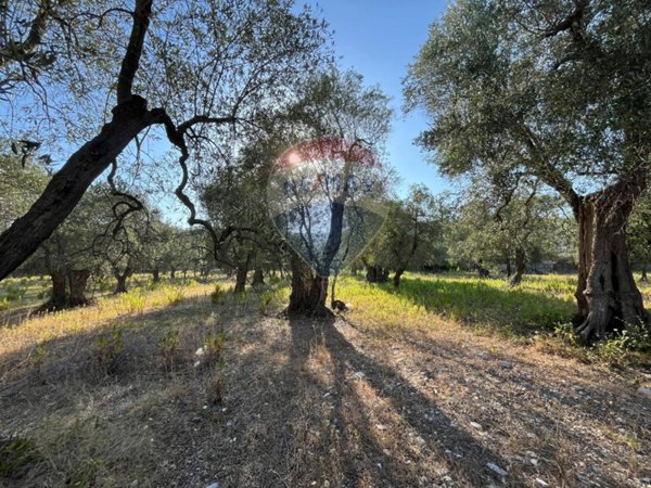 terreno agricolo in vendita a Vieste