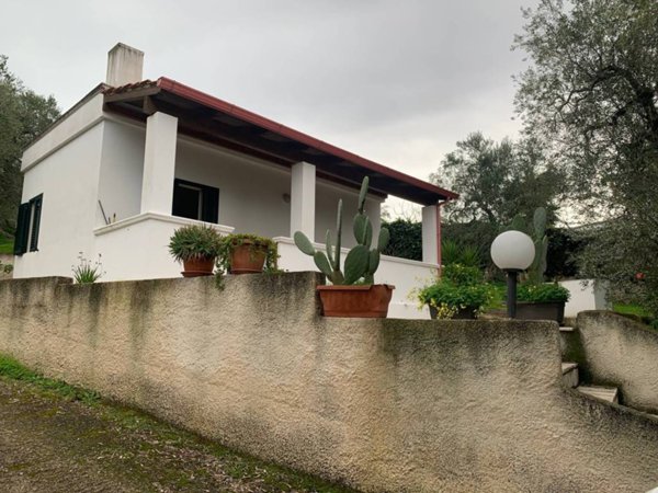 casa indipendente in vendita a Vieste