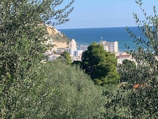 appartamento in vendita a Vieste