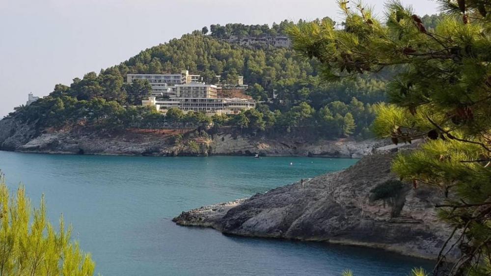 negozio in vendita a Vieste in zona Pugnochiuso