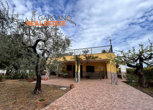 casa indipendente in vendita a Vieste