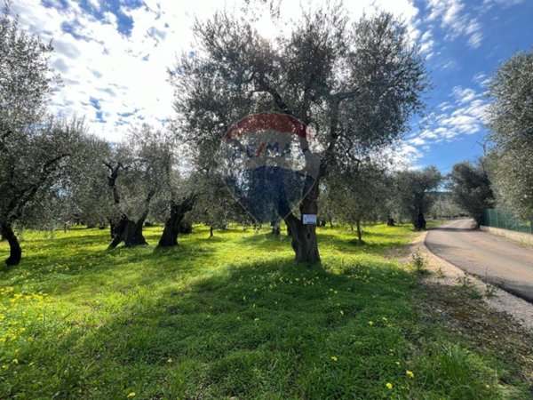 terreno agricolo in vendita a Vieste
