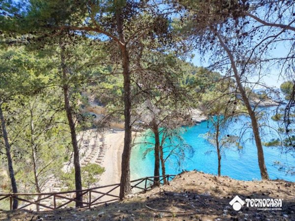 appartamento in vendita a Vieste in zona Pugnochiuso