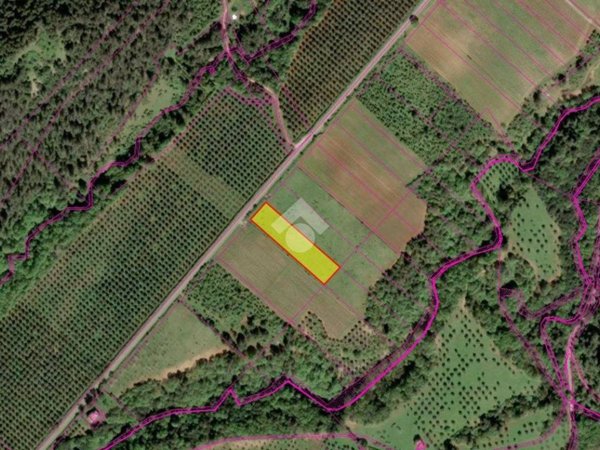 terreno agricolo in vendita a Vieste