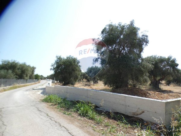 terreno agricolo in vendita a Vieste