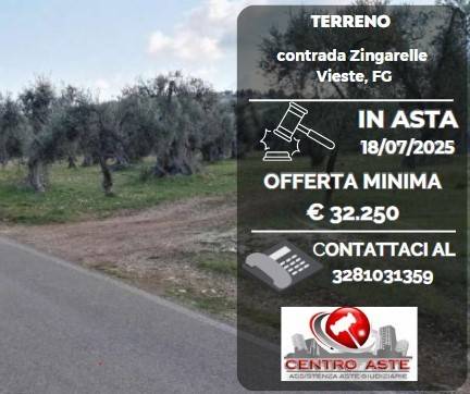 casa indipendente in vendita a Vieste