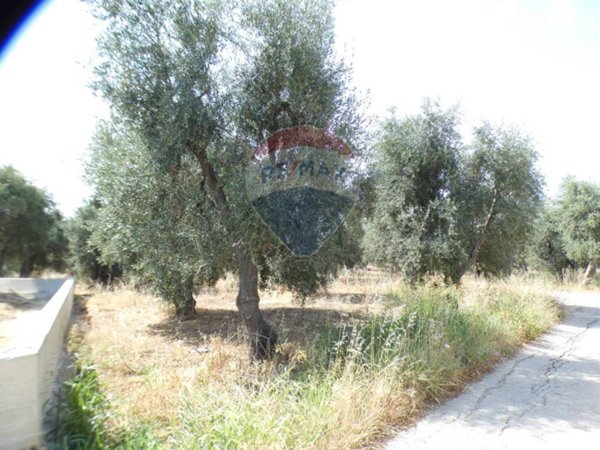 terreno agricolo in vendita a Vieste