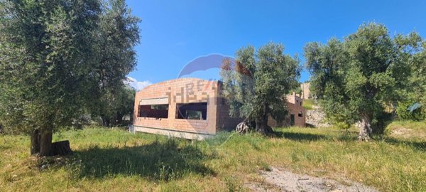 immagine annuncio 0 di 1