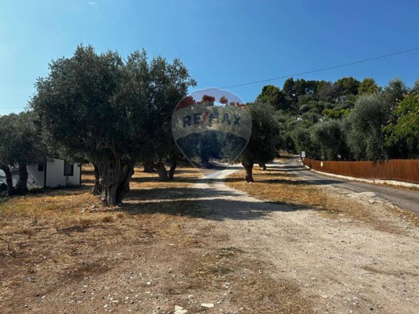 terreno agricolo in vendita a Vieste