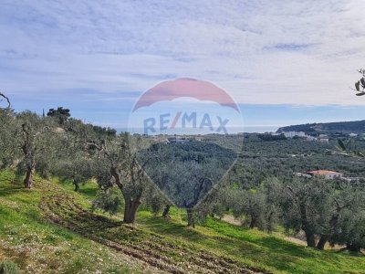 terreno agricolo in vendita a Vieste