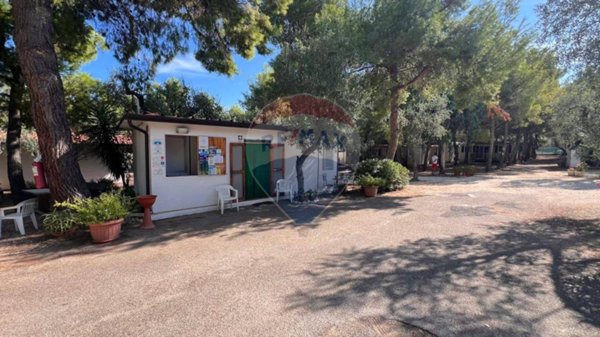 negozio in vendita a Vieste