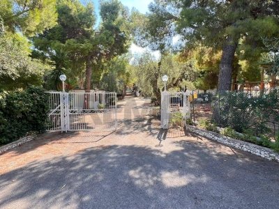 negozio in vendita a Vieste