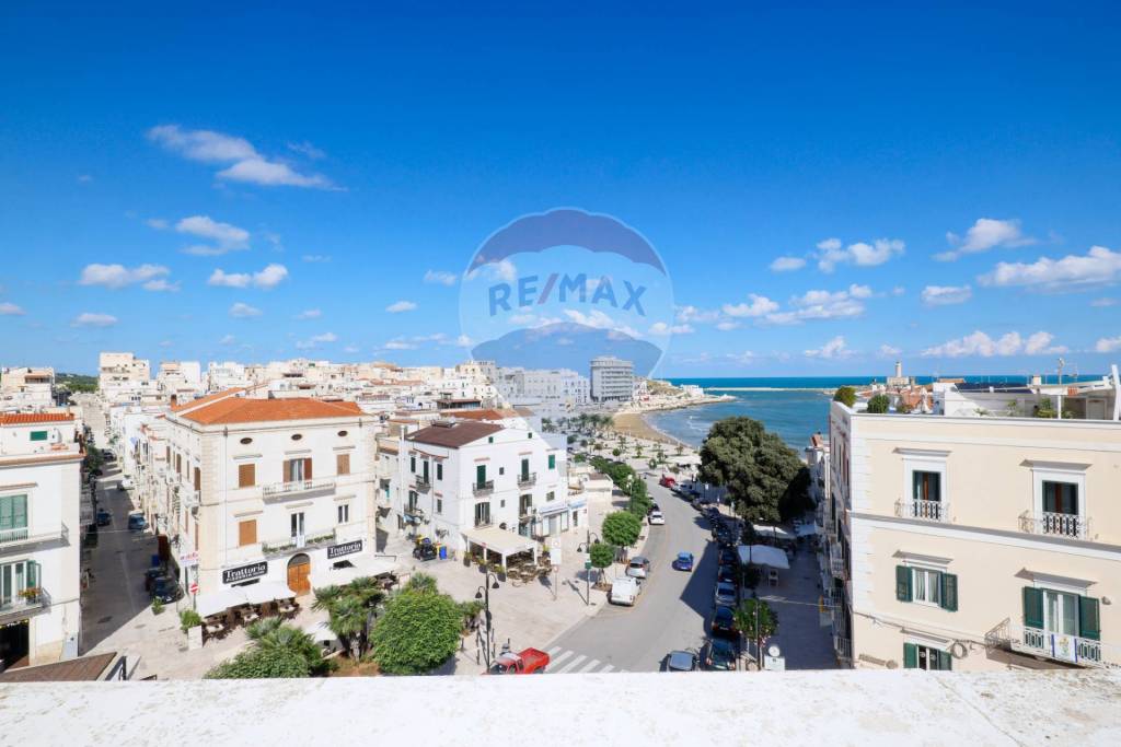casa indipendente in vendita a Vieste
