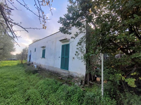 casa indipendente in vendita a Vieste