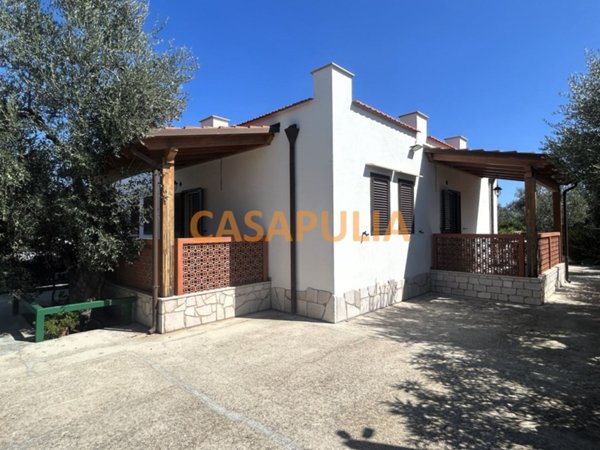 casa indipendente in vendita a Vieste