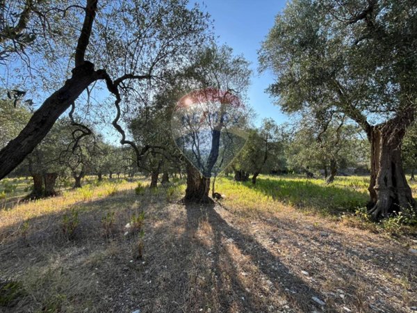 terreno agricolo in vendita a Vieste