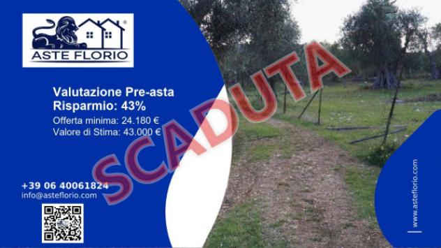 terreno agricolo in vendita a Vieste