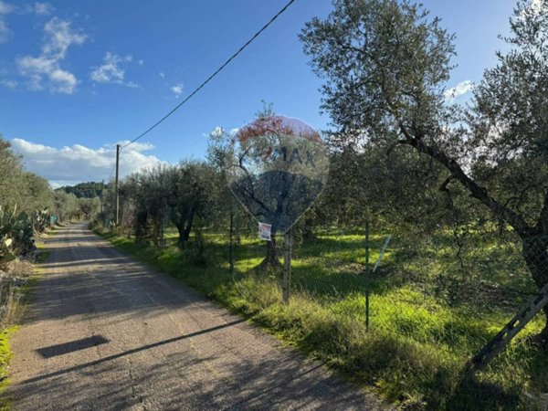 terreno agricolo in vendita a Vieste