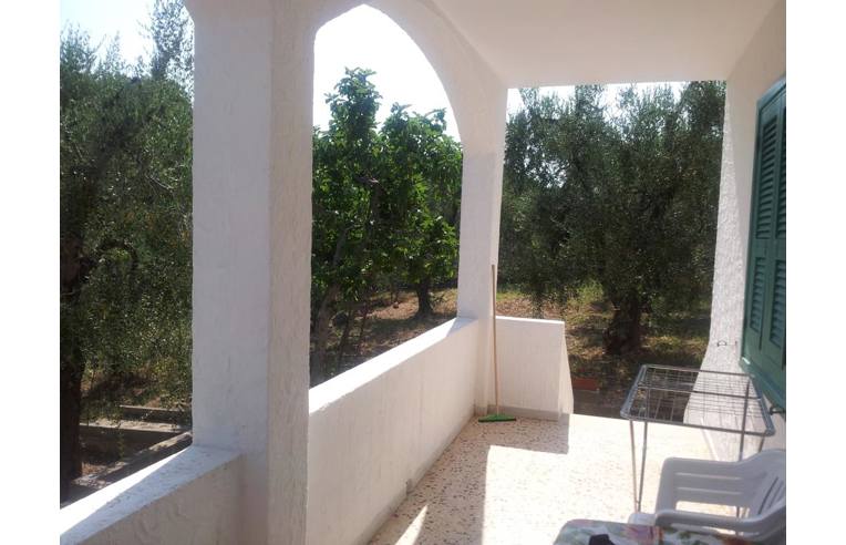 casa indipendente in vendita a Vieste