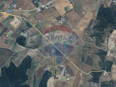 terreno agricolo in vendita a Vieste