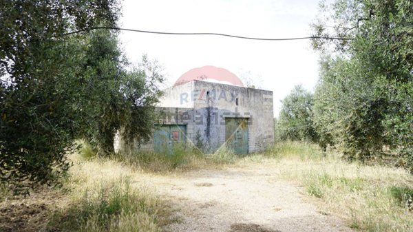 appartamento in vendita a Vieste