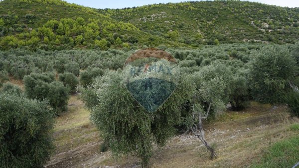 terreno agricolo in vendita a Vieste