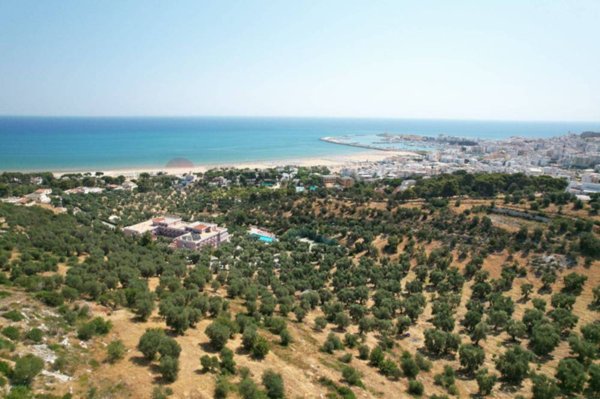 appartamento in vendita a Vieste